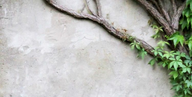 Insurance and sustainability opportunities for 2023: 10 trends for insurers to consider