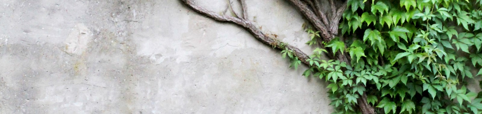 Insurance and sustainability opportunities for 2023: 10 trends for insurers to consider